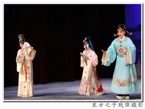 欣赏20160105京剧谢瑶环剧照主演马艺洋蒋涛王丽
