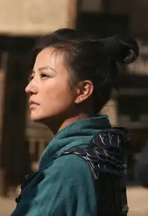 赵薇花木兰造型曝光化身飒爽假小子
