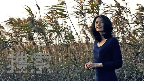 搜索发布高清剧照高圆圆美艳姚晨干练