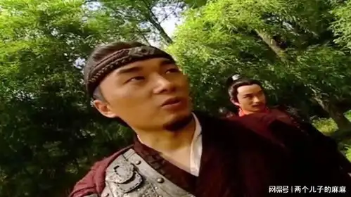 侠影小子祖传木剑深藏不露,绝世高手也看不出深浅,独特
