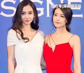 杨颖凌晨3点收工发文,祝大家冬至快乐,网友怒怼评论亮了
