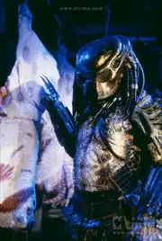 铁血战士2predator21990