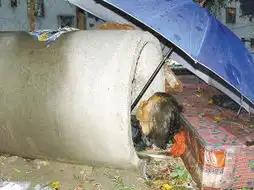 老人蜗居混凝土水管民政局长看到微博救助
