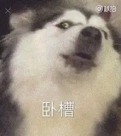 继张学友后,又一歌神走上了表情包的不归路下半年斗图全靠他了

