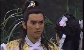 射雕英雄传中扮演杨康的是谁
