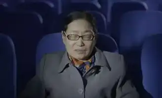 中国有个电影院,专为盲人放电影