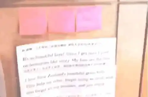 高考英语27分,38岁重学,好莱坞男神被她征服
