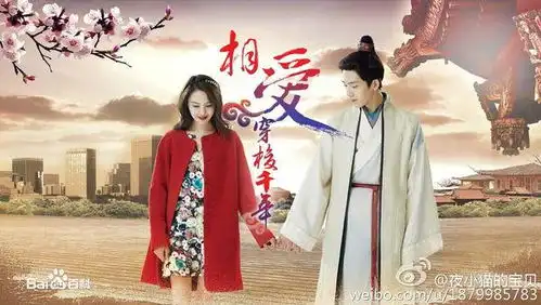 相爱穿梭千年一共多少集