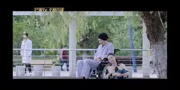 张柏芝复出新剧网友新版回家的诱惑
