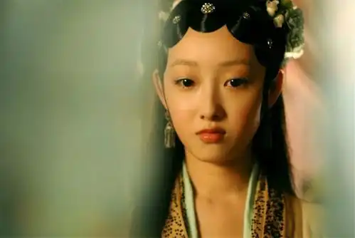 自取其辱郑晓龙敢翻拍红楼梦,难道是甄嬛传给的勇气

