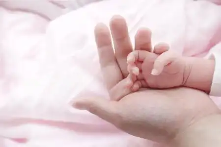 在试管婴儿移植前需要注意什么呢