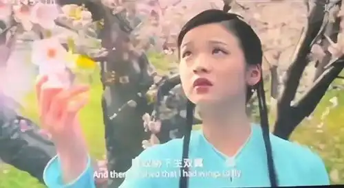 电影红楼梦拍了19年,投资2亿,预售票房要扑街