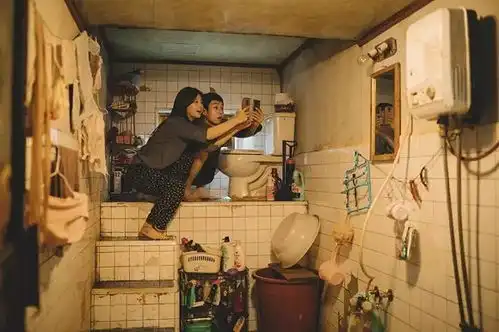 对话戴锦华奥斯卡为什么要下寄生虫这剂猛药
