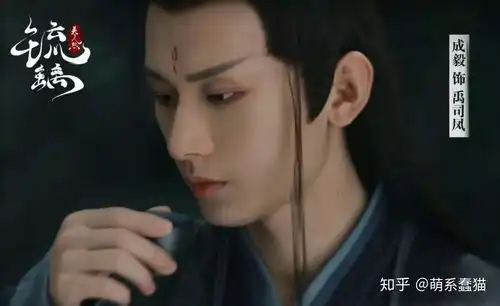 如何评价演员成毅以及他以后的演艺道路