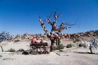 卡帕多西亚旅行指南,体验一场飞屋环游记