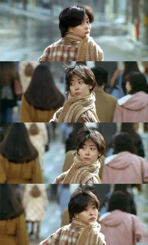 我有30多条围巾,全发霉了系法攻略
