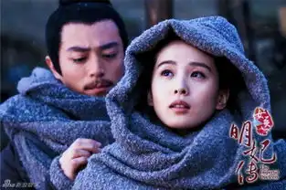 女医明妃传2月13日开播刘诗诗霍建华等主演最新剧照曝光图
