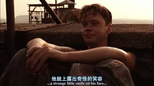 在体制化中救赎自己肖申克的救赎影评安迪是如何做到的
