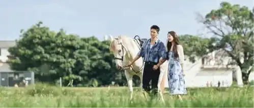 安徽人游安徽丨在宜秀开启去有风的地方同款治愈系慢生活