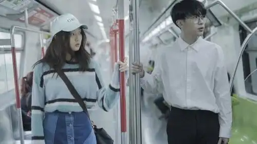 猫的树哔哩哔哩bilibili