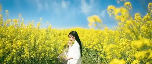 沂水县圈里乡战疫不误景区打造
