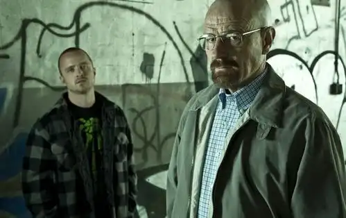 昔日绝命毒师搭档,老白和小粉再度合体,有人变嫩有人变油
