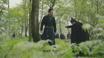 大军师司马懿之军师联盟大结局是什么,大结局,人物最终结局电视剧

