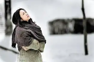 澳大利亚布里斯班欲借亚太电影提升城市魅力