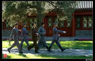 清华园游记
