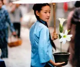 女星古装撑伞,赵丽颖太朴素,霍思燕侧颜惊艳
