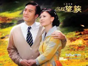 名媛望族的结局大结局剧情
