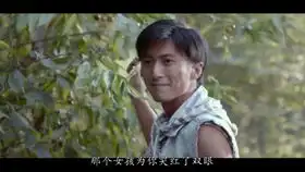 特别版献给犬夜叉二哈小王子