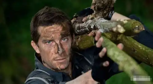 为什么贝爷再也不录荒野求生了了解他的经历后就明白了
