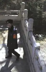 颐和园丢失柱头拟今天仿制修复文物局要求调查新闻频道
