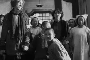 南京南京将在日本最大视频网站上映
