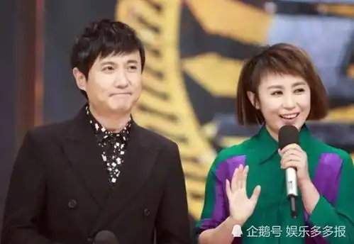 沈腾妻子王琦直言马丽不是我的对手可沈腾爱的究竟是谁,谁又知道
