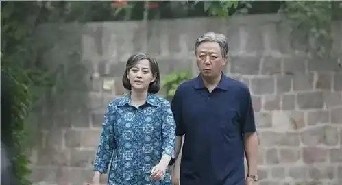 这些电视剧,你看过几部,哪个最经典
