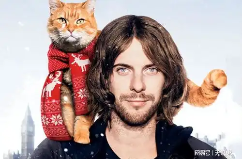 因为一只流浪猫改变一生你敢相信吗互相救赎才是最好的选择