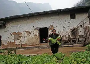 六旬老人蜗居深山,不离不弃照顾瘫痪妻子十余年,每顿只吃大白菜
