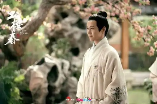 玉楼春仿佛一部名梗大杂烩,炖出来一堆bug让人看不懂