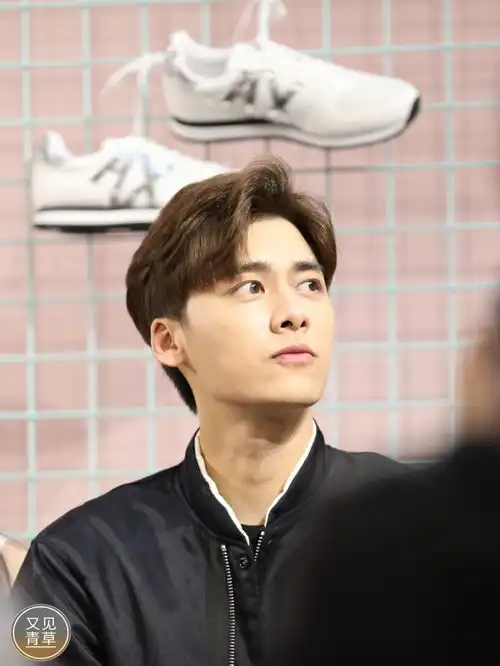 李易峰出席活动场面壮观与粉丝互动有爱全场大喊李易峰