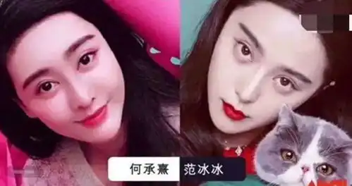花800万整成范冰冰,丈夫整容成李晨,孕后却发现丈夫还有男朋友

