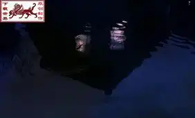 浅解寺山修司的异色空间上海异人娼馆
