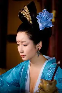 秦海璐武则天秘史饰韩国夫人