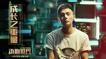 动物世界鸟类
