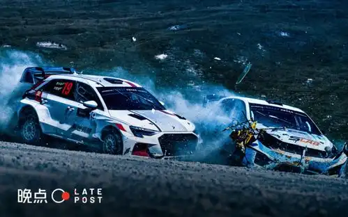 2024新能源车盘点,106款新车背后的野心与存亡