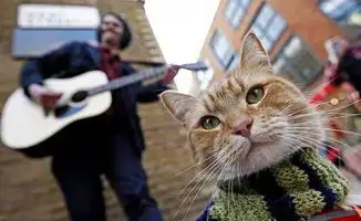 本周新片档,精彩不容错过