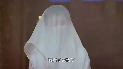 九一神雕侠侣你打败这里其他的人,我就揭开面纱给你看