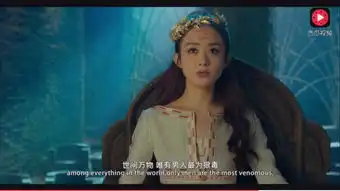 明星粉丝团
