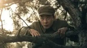 浙江卫视综艺电视剧新闻资讯
